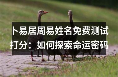<h3>卜易居周易姓名免费测试打分：如何探索命运密码