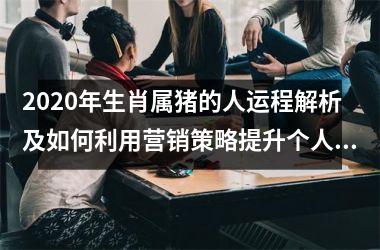 <h3>2025年生肖属猪的人运程解析及如何利用营销策略提升个人运势