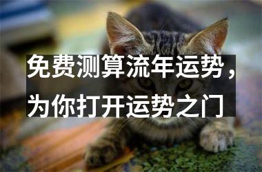 <h3>免费测算流年运势，为你打开运势之门