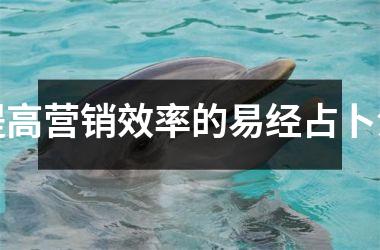<h3>提高营销效率的易经占卜法