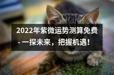 <h3>2025年紫微运势测算免费 - 一探未来，把握机遇！