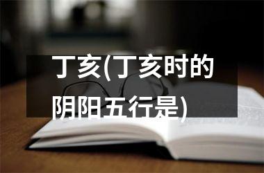 <h3>丁亥(丁亥时的阴阳五行是)