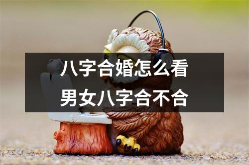 <h3>八字合婚怎么看男女八字合不合
