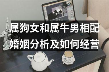 属狗女和属牛男相配婚姻分析及如何经营
