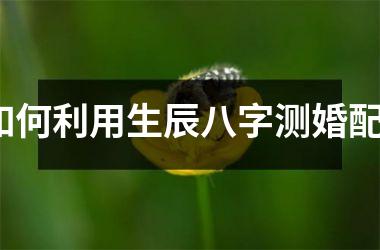 <h3>如何利用生辰八字测婚配？
