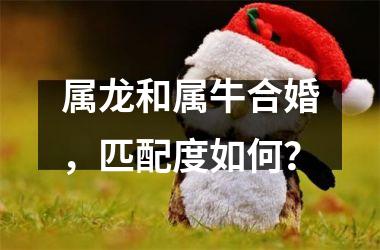 <h3>属龙和属牛合婚，匹配度如何？
