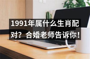 <h3>1991年属什么生肖配对？合婚老师告诉你！
