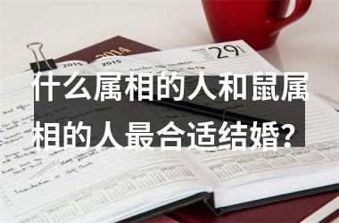 <h3>什么属相的人和鼠属相的人合适结婚？