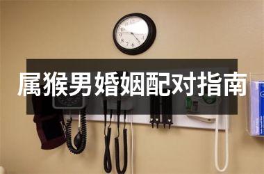 <h3>属猴男婚姻配对指南