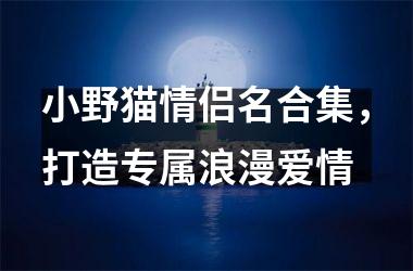 <h3>小野猫情侣名合集，打造专属浪漫爱情