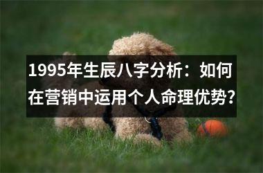 <h3>1995年生辰八字分析：如何在营销中运用个人命理优势？