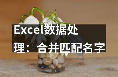 <h3>Excel数据处理：合并匹配名字