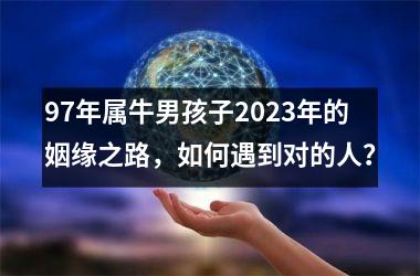 <h3>97年属牛男孩子2025年的姻缘之路，如何遇到对的人？