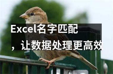 <h3>Excel名字匹配，让数据处理更高效
