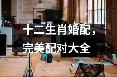 <h3>十二生肖婚配，完美配对大全