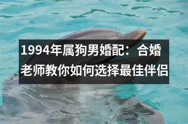 <h3>1994年属狗男婚配：合婚老师教你如何选择佳伴侣