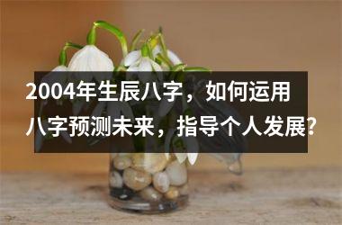 <h3>2004年生辰八字，如何运用八字预测未来，指导个人发展？