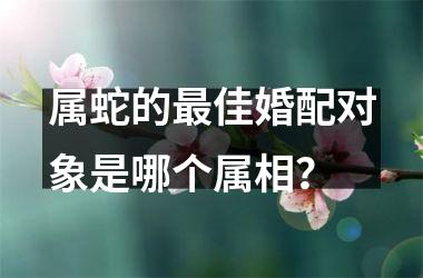 <h3>属蛇的佳婚配对象是哪个属相？