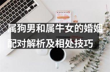 属狗男和属牛女的婚姻配对解析及相处技巧