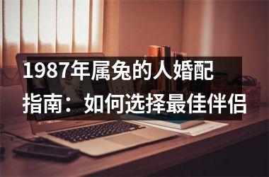<h3>1987年属兔的人婚配指南：如何选择佳伴侣