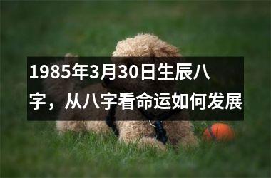 <h3>1985年3月30日生辰八字，从八字看命运如何发展