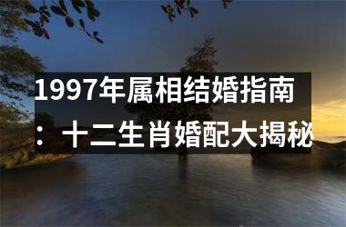 <h3>1997年属相结婚指南：十二生肖婚配大揭秘