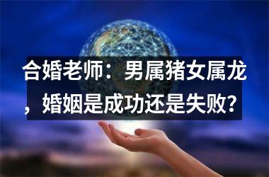 <h3>合婚老师：男属猪女属龙，婚姻是成功还是失败？
