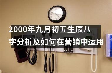 <h3>2000年九月初五生辰八字分析及如何在营销中运用