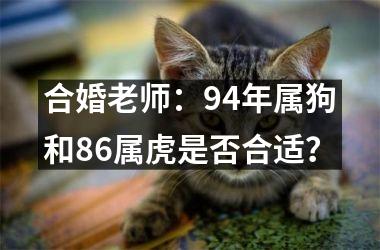 <h3>合婚老师：94年属狗和86属虎是否合适？