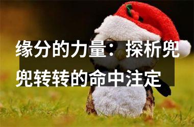 <h3>缘分的力量：探析兜兜转转的命中注定