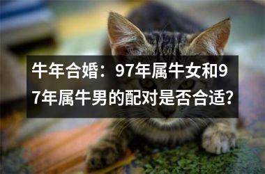 <h3>牛年合婚：97年属牛女和97年属牛男的配对是否合适？
