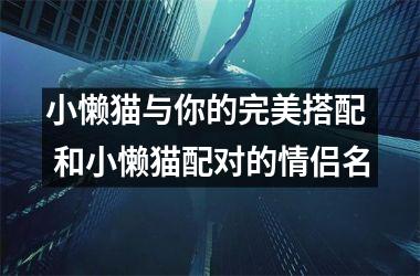 <h3>小懒猫与你的完美搭配  和小懒猫配对的情侣名