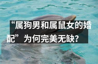 <h3>“属狗男和属鼠女的婚配”为何完美无缺？