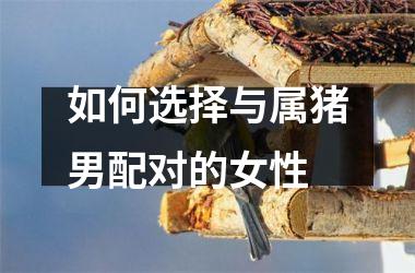 <h3>如何选择与属猪男配对的女性