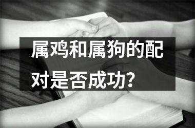 <h3>属鸡和属狗的配对是否成功？