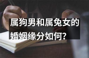 属狗男和属兔女的婚姻缘分如何？