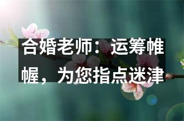 合婚老师：运筹帷幄，为您指点迷津