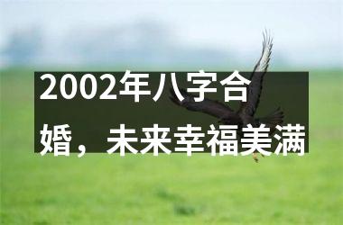 <h3>2002年八字合婚，未来幸福美满
