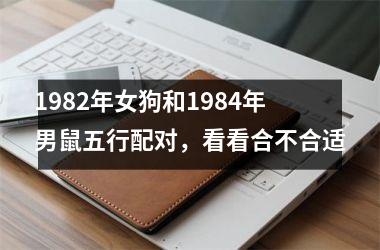 1982年女狗和1984年男鼠五行配对，看看合不合适