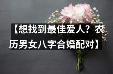 <h3>【想找到佳爱人？农历男女八字合婚配对】