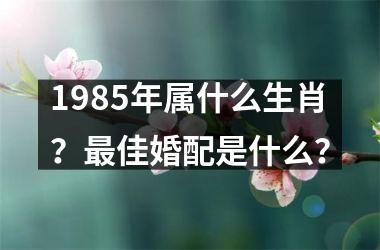 <h3>1985年属什么生肖？佳婚配是什么？