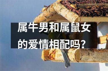 <h3>属牛男和属鼠女的爱情相配吗？