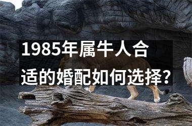 <h3>1985年属牛人合适的婚配如何选择？