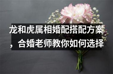 <h3>龙和虎属相婚配搭配方案，合婚老师教你如何选择