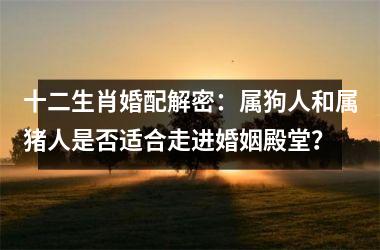 十二生肖婚配解密：属狗人和属猪人是否适合走进婚姻殿堂？