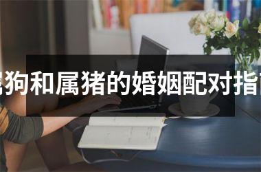 <h3>属狗和属猪的婚姻配对指南