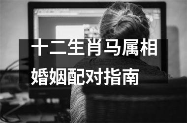 <h3>十二生肖马属相婚姻配对指南