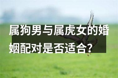 <h3>属狗男与属虎女的婚姻配对是否适合？