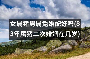 <h3>女属猪男属兔婚配好吗(83年属猪二次婚姻在几岁)