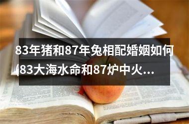 83年猪和87年兔相配婚姻如何(83大海水命和87炉中火相克吗)